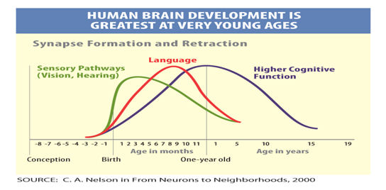 brain development in child