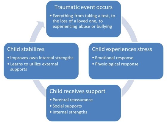 resilience and adult development The resilience report the resilience report provides a snapshot of the specific resilience characteristics of young people and adults and provides avenues for intervention and on going support. resilience and adult development The resilience report the resilience report provides a snapshot of the specific resilience characteristics of young people and adults and provides avenues for intervention and on going support.